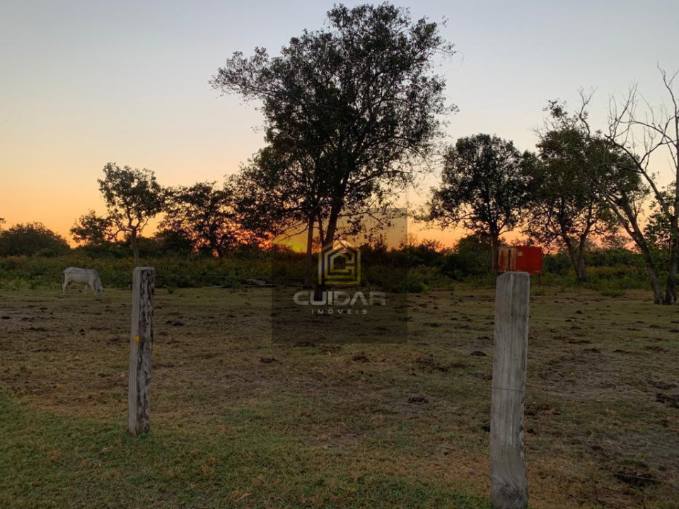 Imagens do imóveis Fazenda em Poconé MT