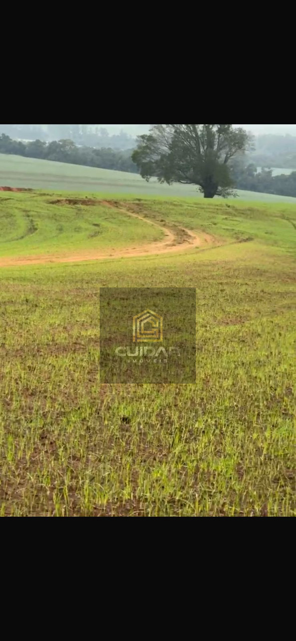 Imagens do imóveis Fazenda na Região de Ribeirão do Pinhal