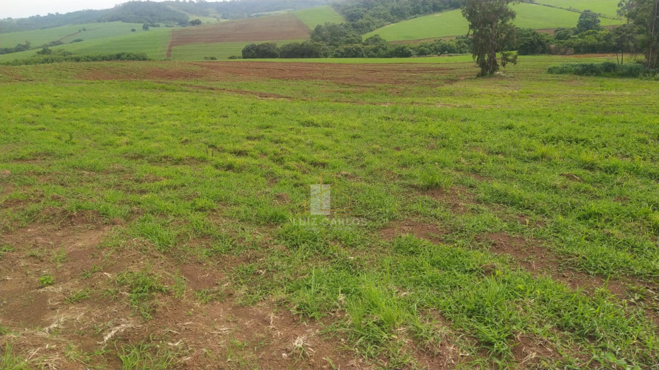 Imagens do imóveis Sitio em Assai