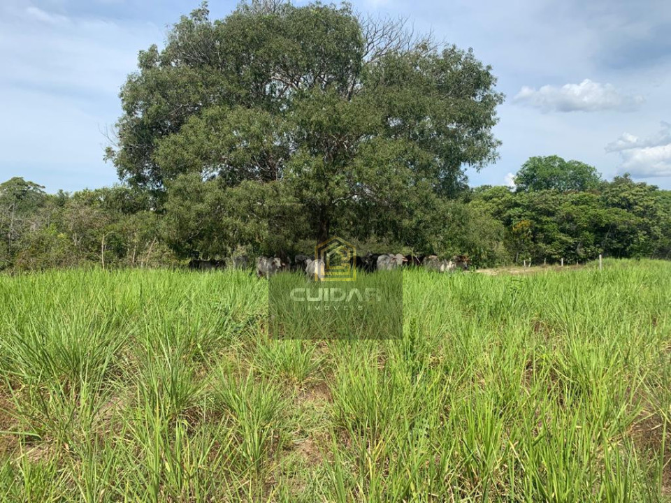 Imagens do imóveis Fazenda em Poconé MT