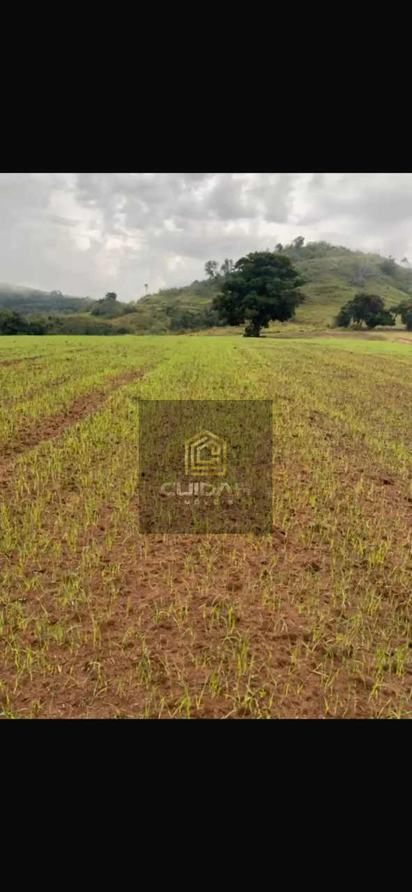 Imagens do imóveis Fazenda na Região de Ribeirão do Pinhal