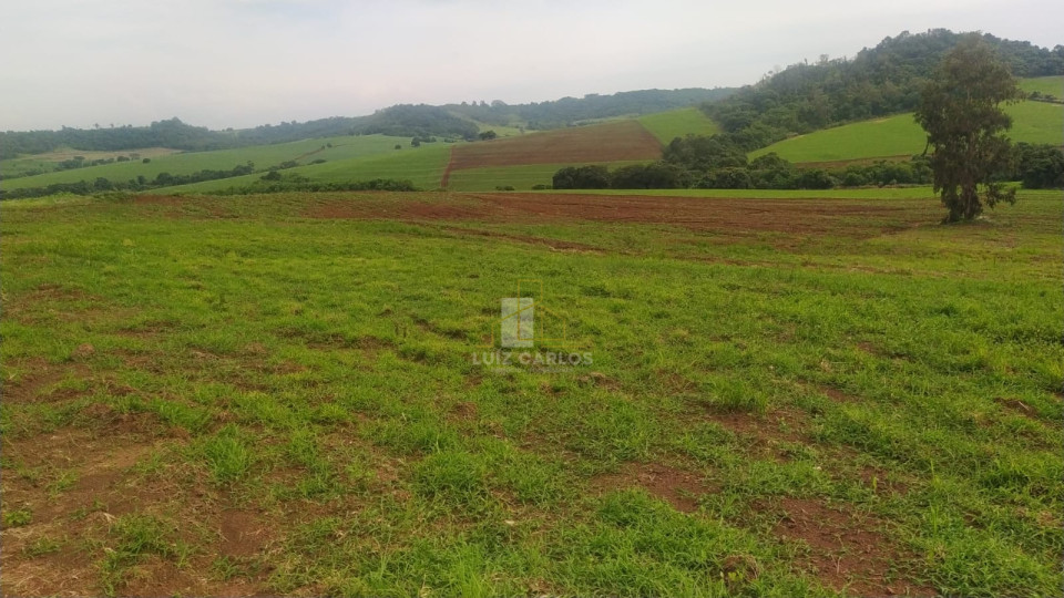 Imagens do imóveis Sitio em Assai