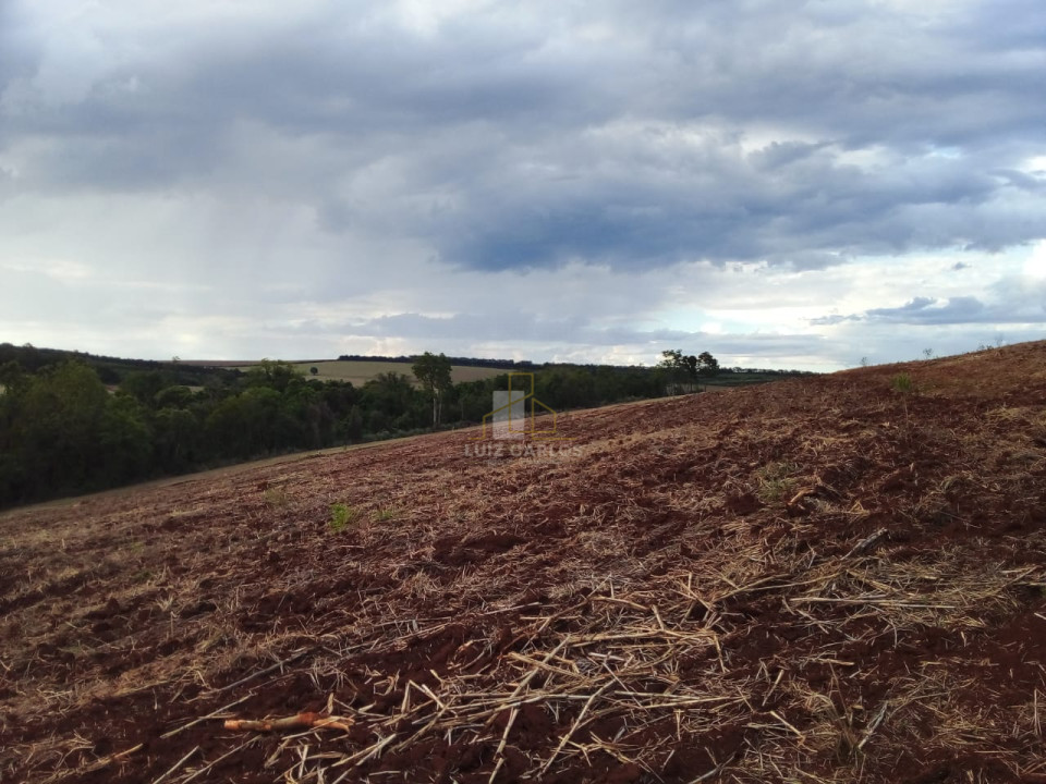 Imagens do imóveis Sitio em Ibipora