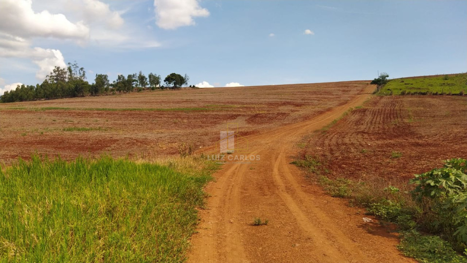 Imagens do imóveis Sitio em Sertanopolis