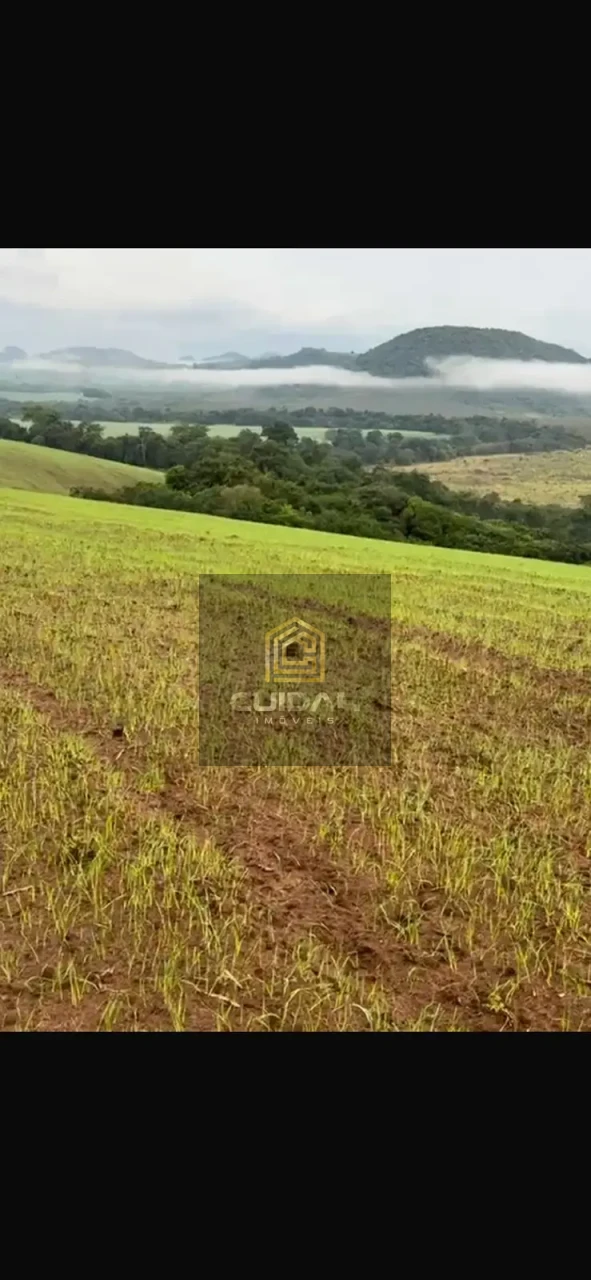 Imagens do imóveis Fazenda na Região de Ribeirão do Pinhal