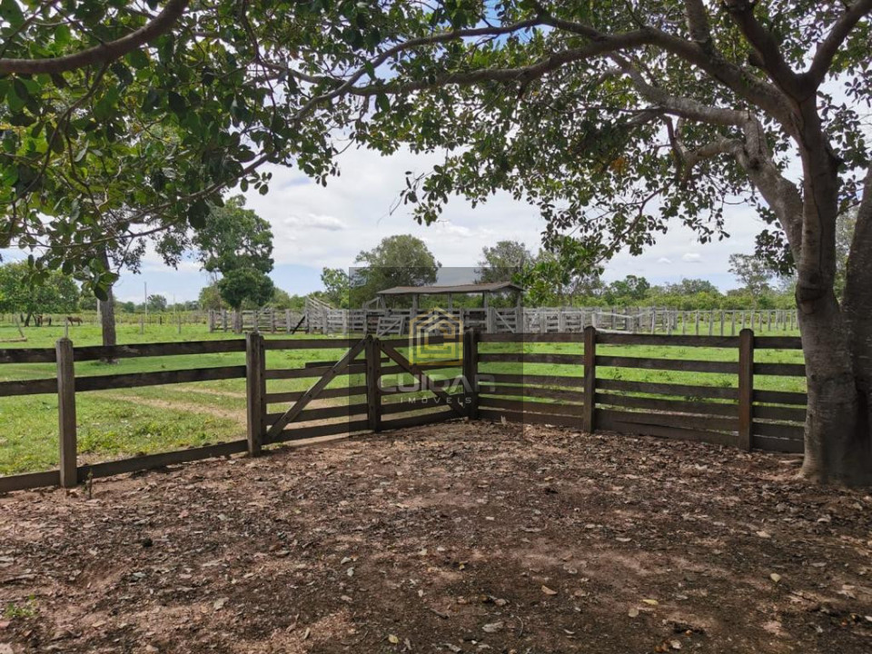 Imagens do imóveis Fazenda em Poconé MT