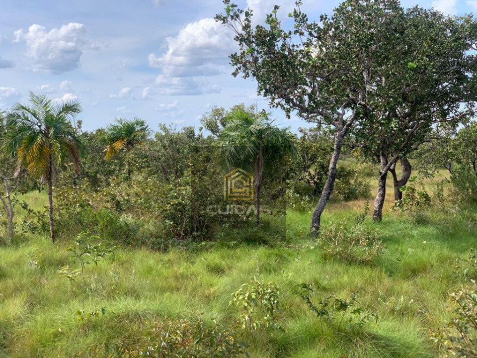 Imagens do imóveis Fazenda em Poconé MT