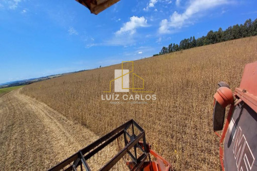 Imagens do imóveis SITIO EM  SAO GERONIMO DA SERRA PR