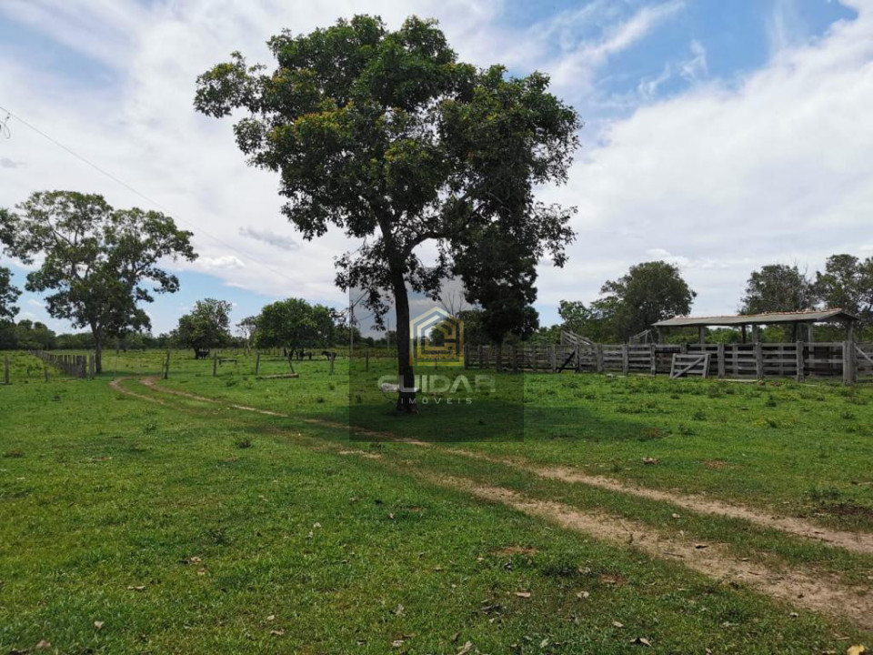 Imagens do imóveis Fazenda em Poconé MT