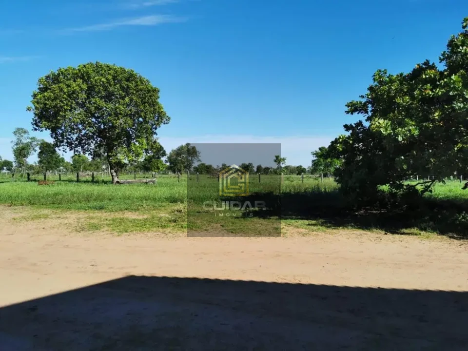 Imagens do imóveis Fazenda em Poconé MT