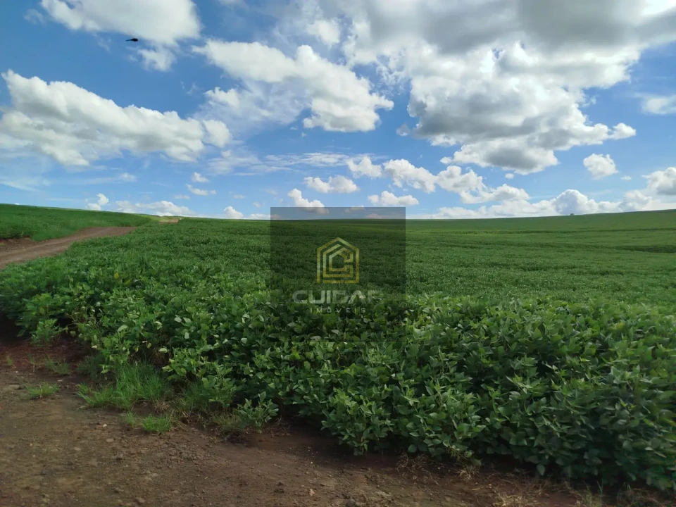 Imagens do imóveis Fazenda/Sítios/Chácaras Á Venda Centro Cornélio Procopio