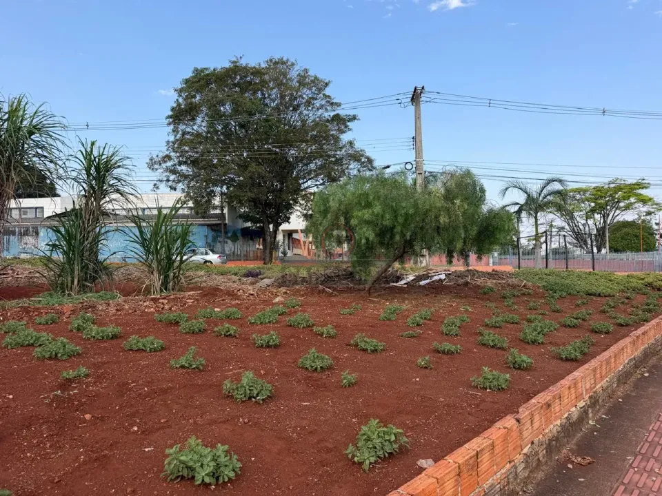 Imagens do imóveis Oportunidade Única! 4 Terrenos Comerciais de Esquina na Av. Paul Harris - Londrina