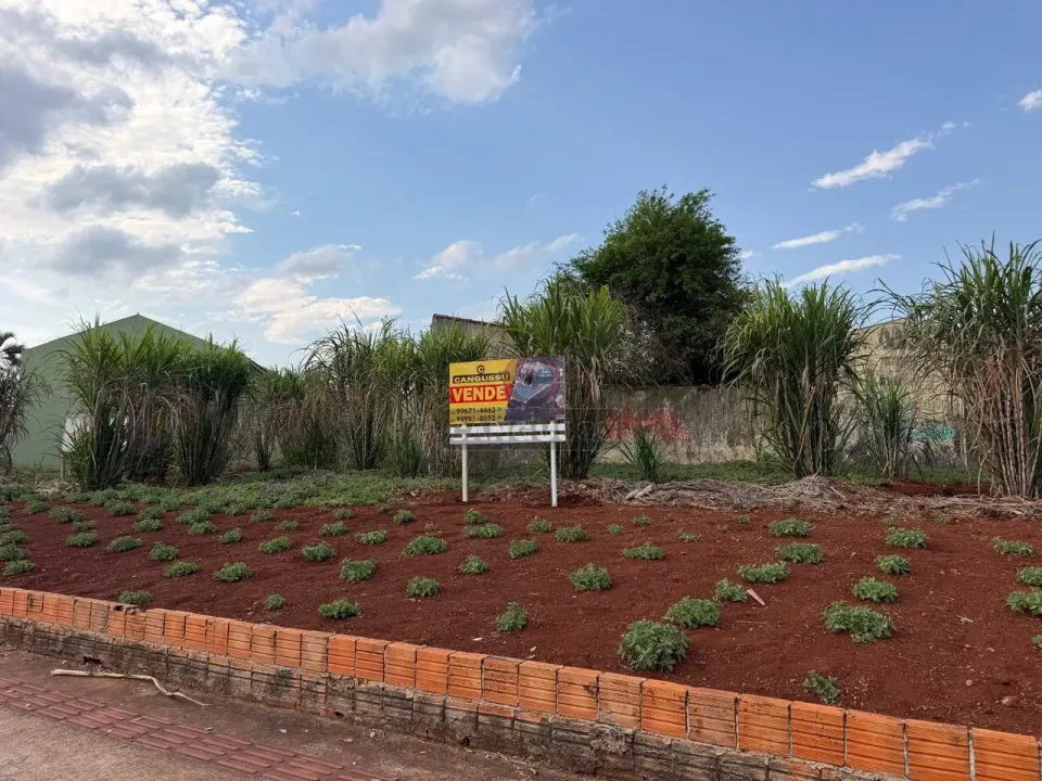 Imagens do imóveis Oportunidade Única! 4 Terrenos Comerciais de Esquina na Av. Paul Harris - Londrina