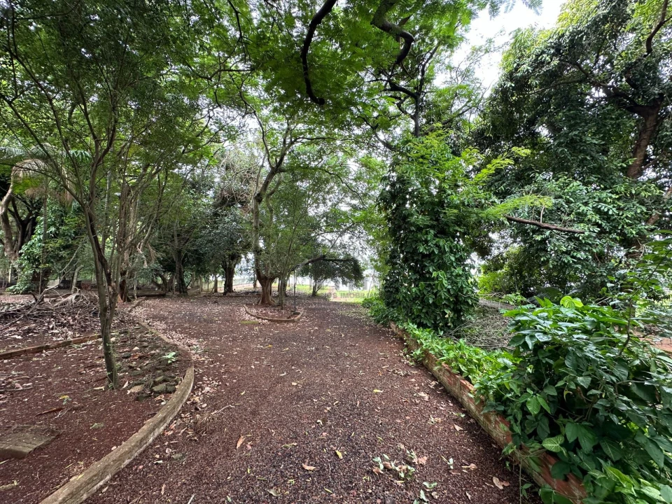 Imagens do imóveis Fazenda/Sítios/Chácaras Á Venda Centro Primeiro De Maio