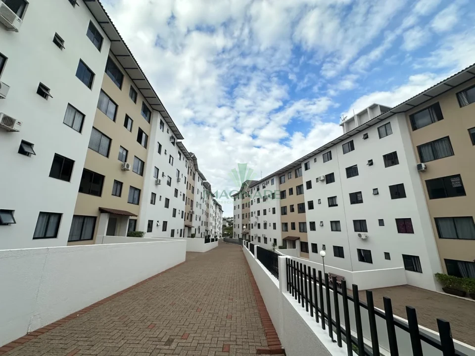 Apartamento Para Alugar Residencial Rosengarten Cascavel