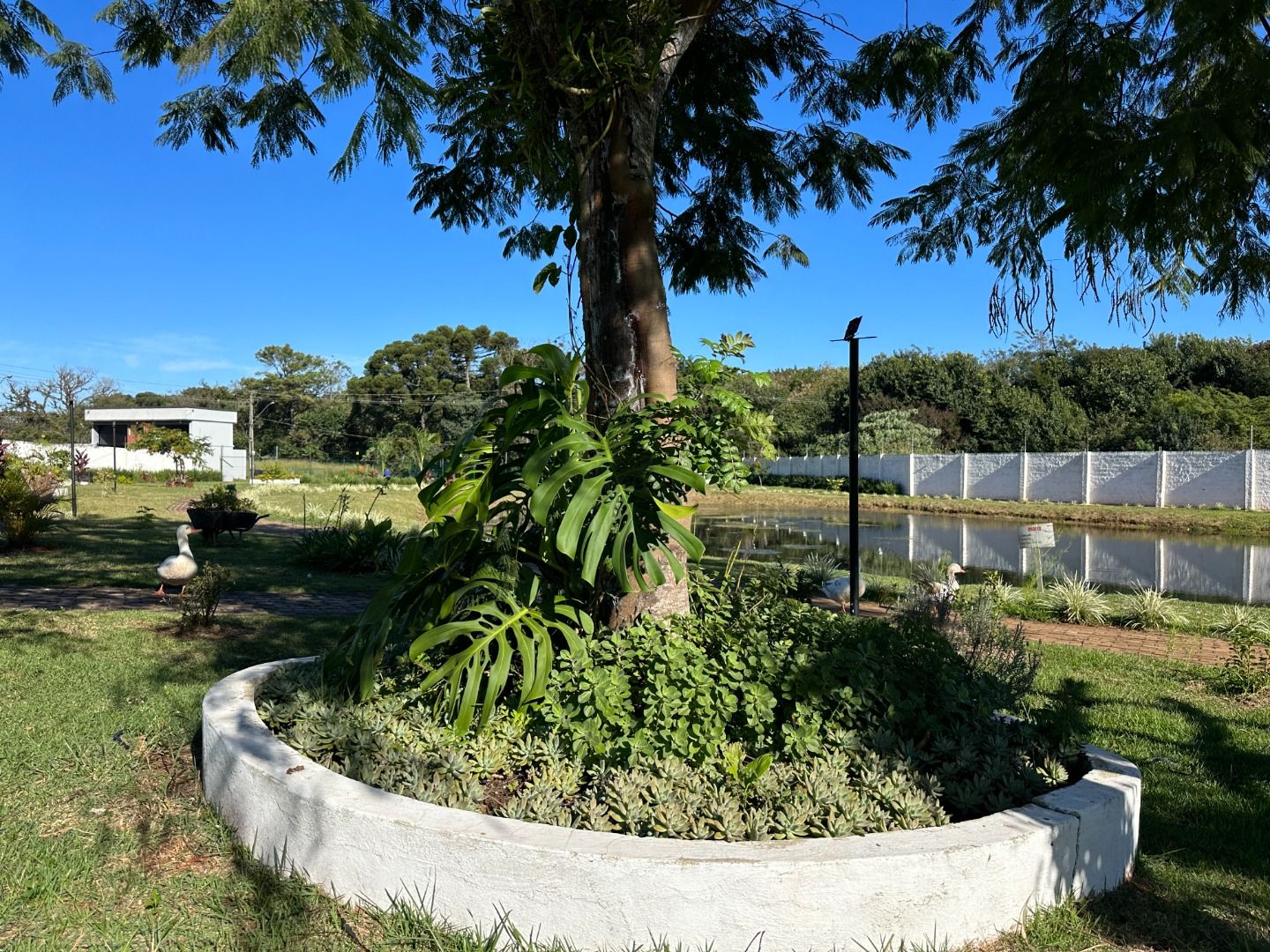 Imagens do imóveis Residencial Colina do Lago Universitário