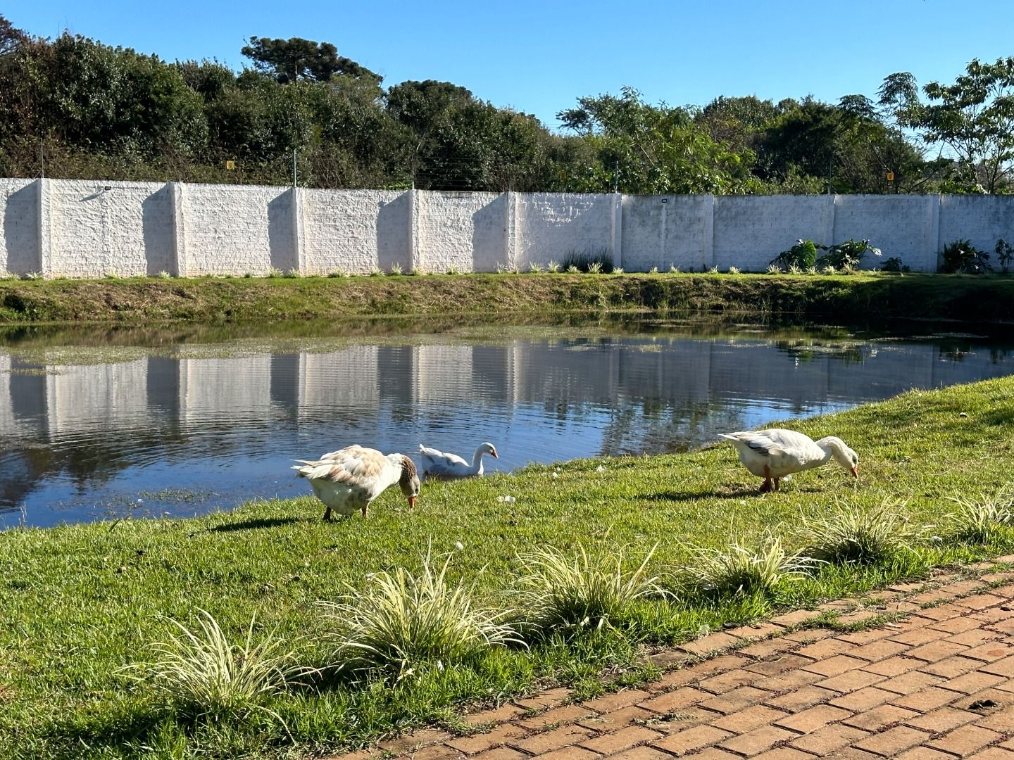 Imagens do imóveis Residencial Colina do Lago Universitário