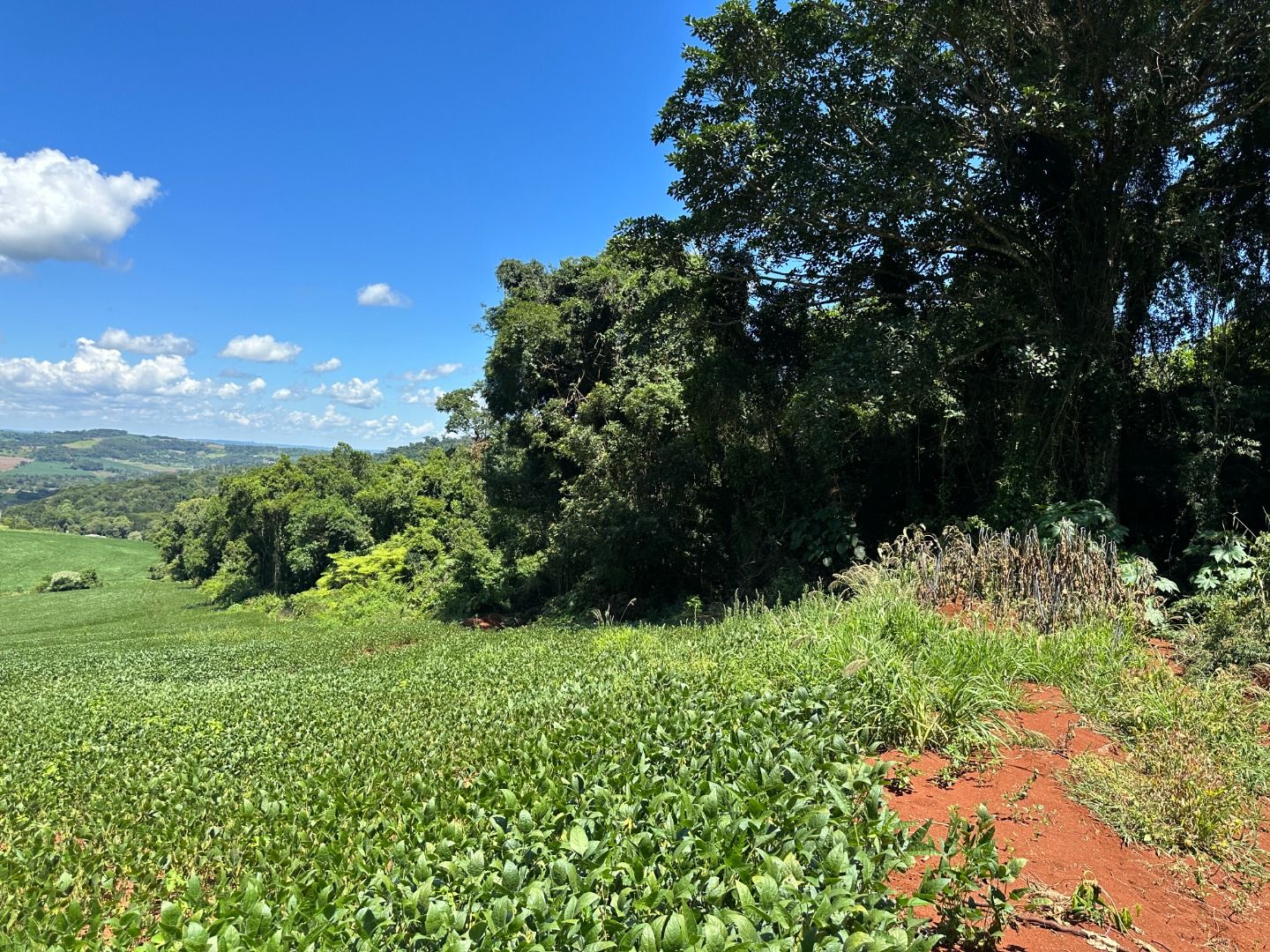 Fazenda/Sítios/Chácaras Rio Do Salto