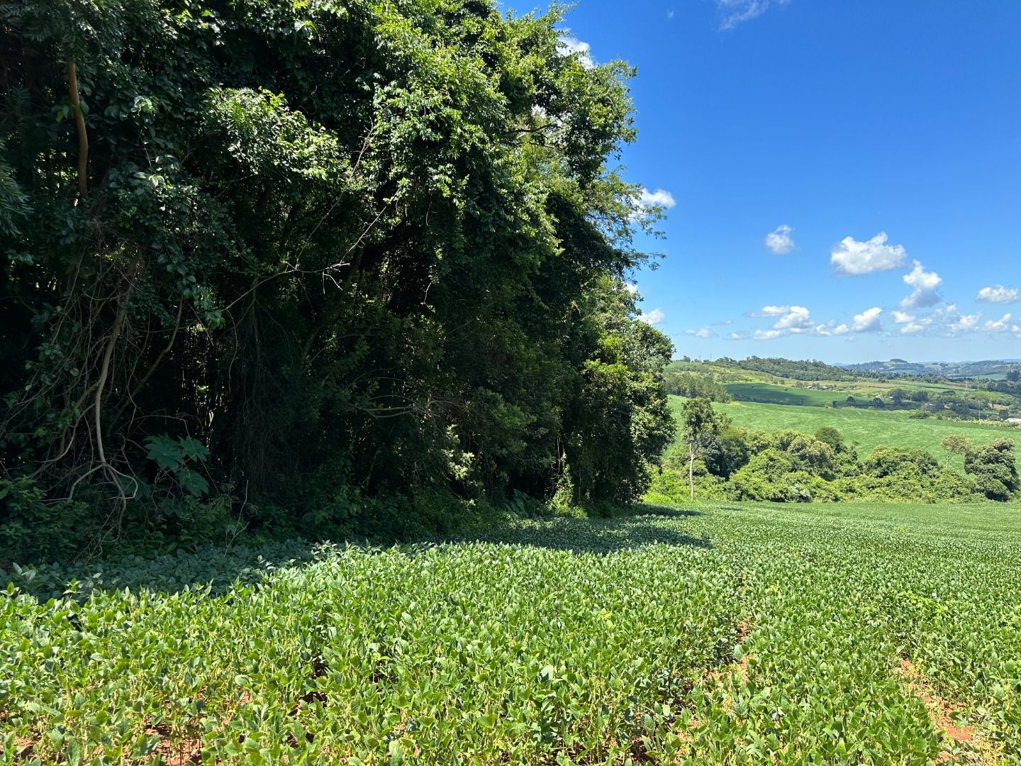Fazenda/Sítios/Chácaras Rio Do Salto