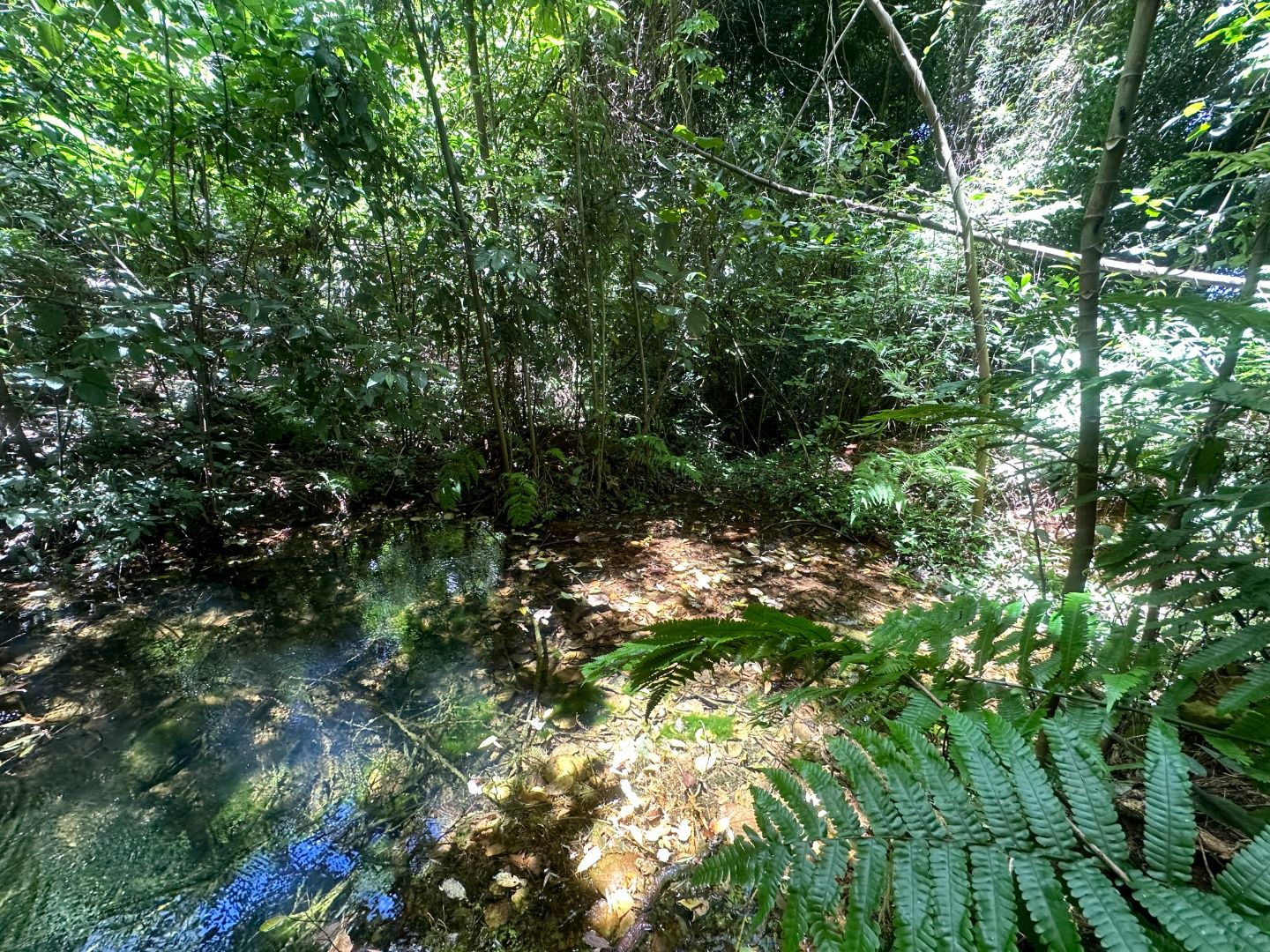 Fazenda/Sítios/Chácaras Rio Do Salto
