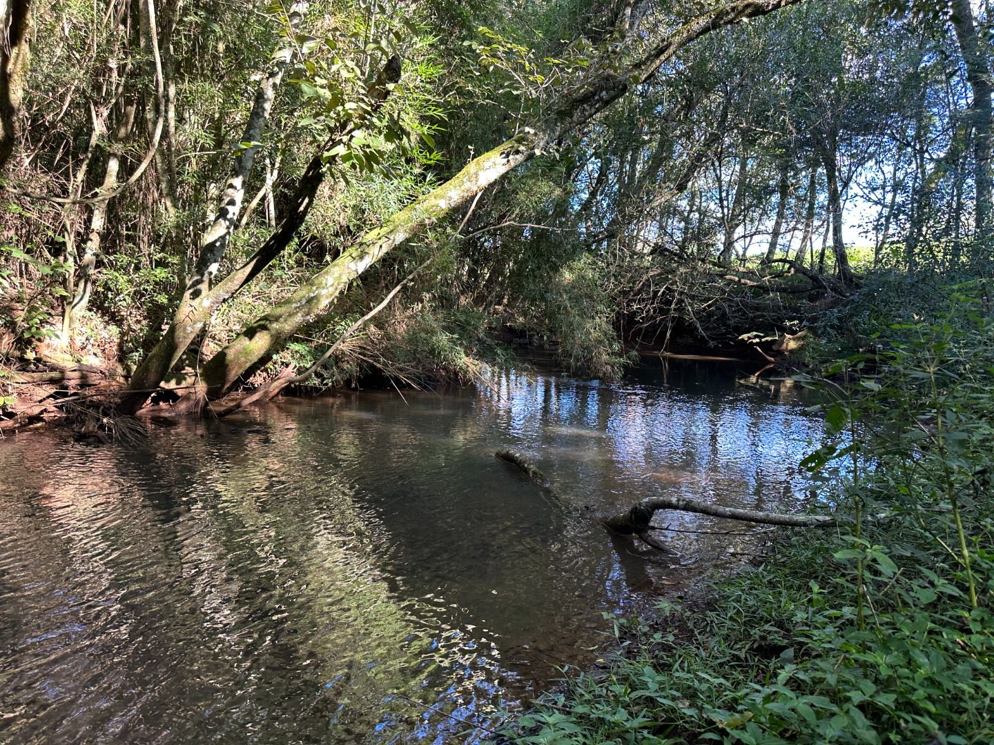 Fazenda/Sítios/Chácaras Cataratas