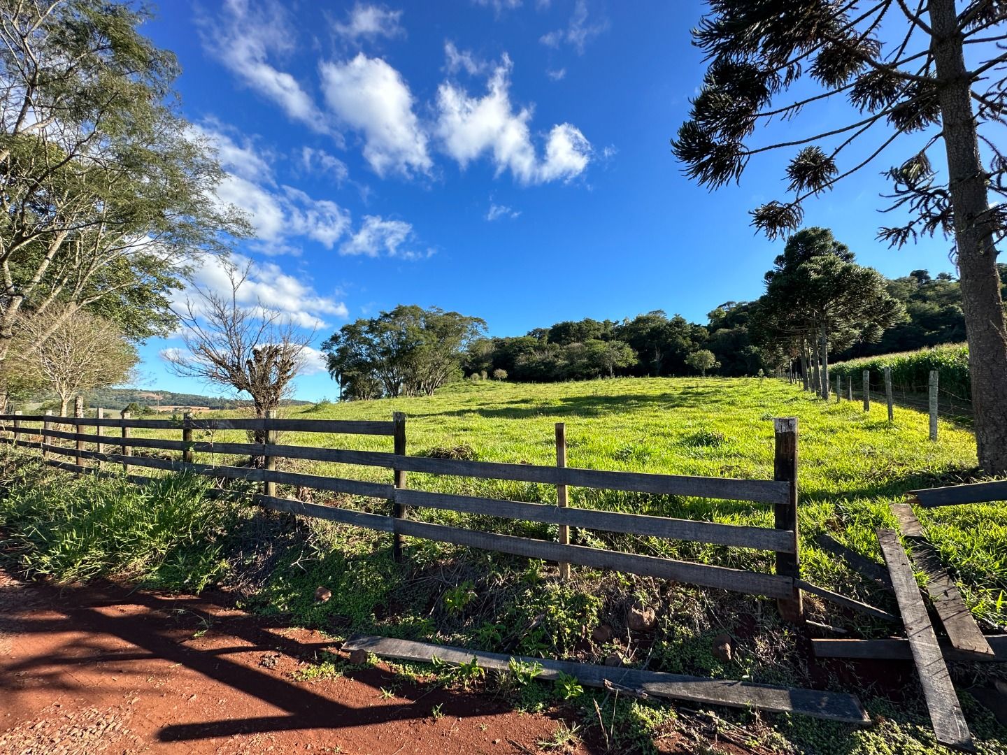 Fazenda/Sítios/Chácaras Cataratas