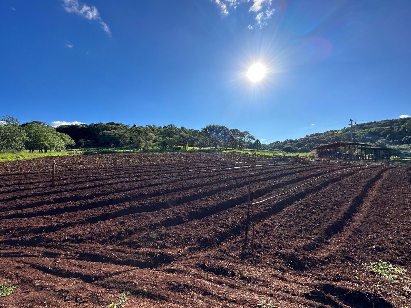 Fazenda/Sítios/Chácaras Cataratas