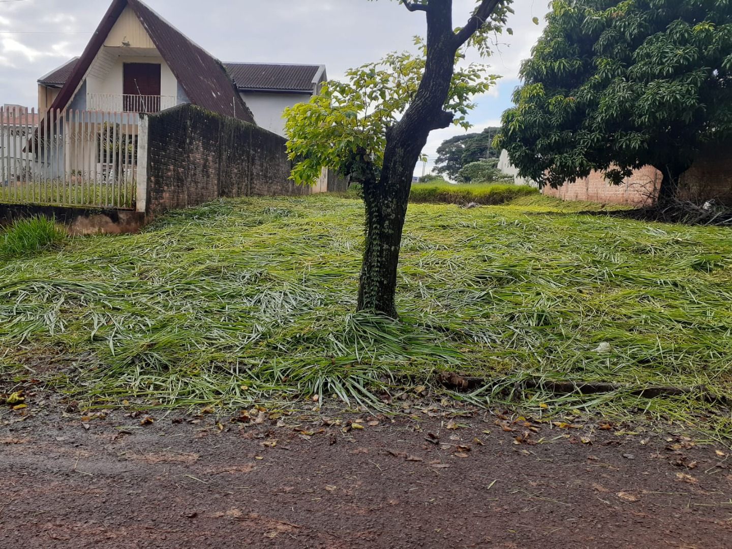 Terreno Tropical 