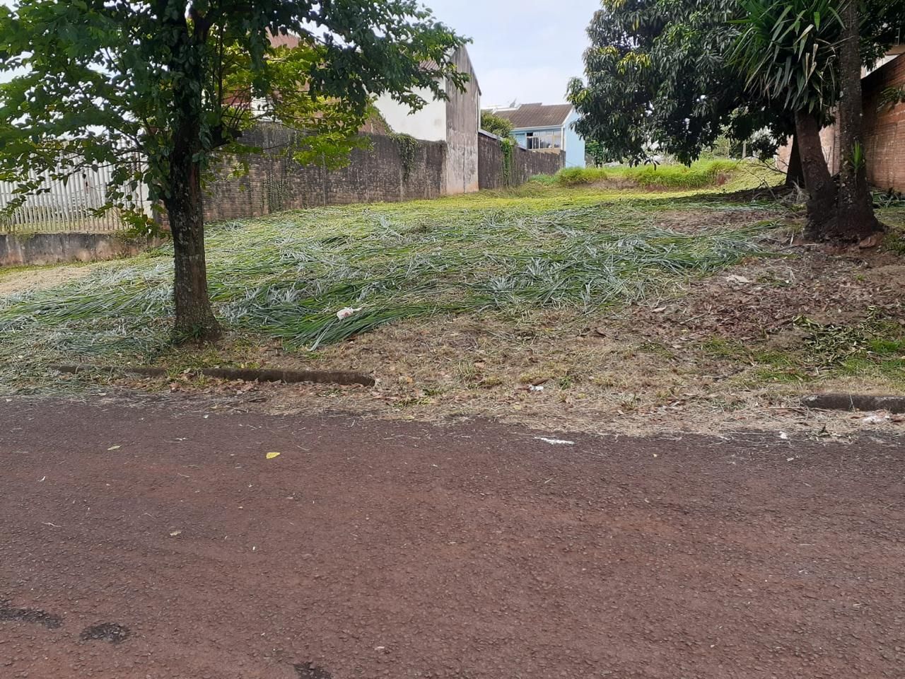 Terreno Tropical 