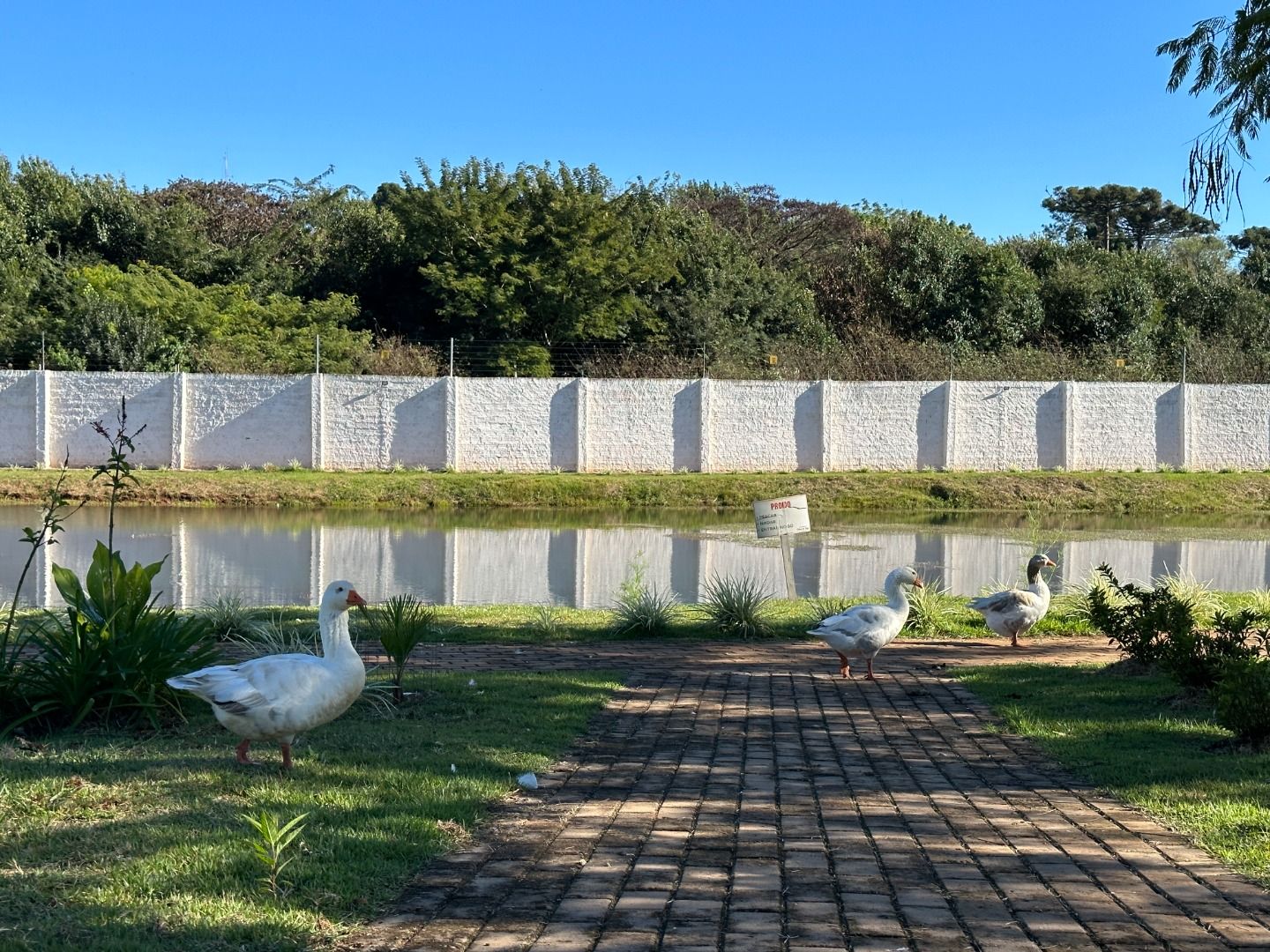 Imagens do imóveis Residencial Colina do Lago Universitário
