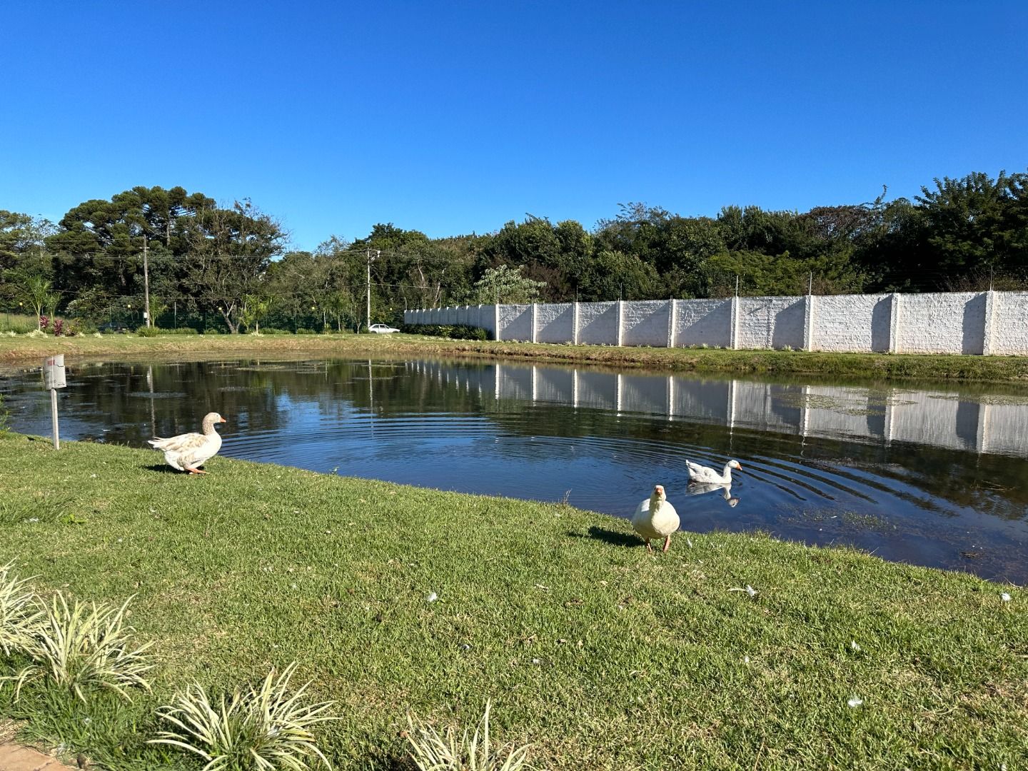 Imagens do imóveis Residencial Colina do Lago Universitário