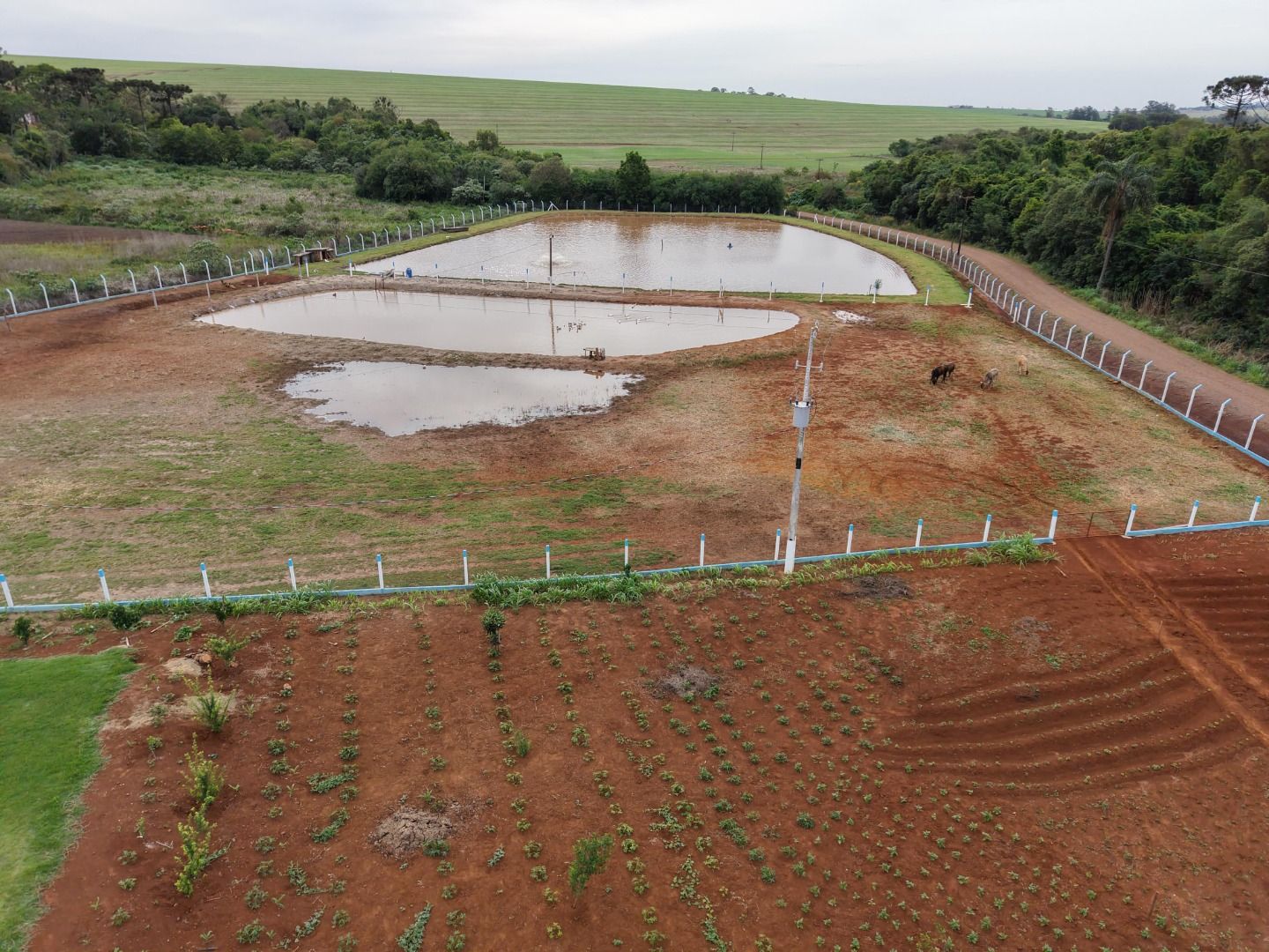 Fazenda/Sítios/Chácaras Canadá