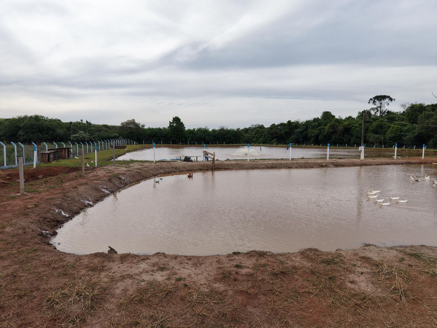 Fazenda/Sítios/Chácaras Canadá