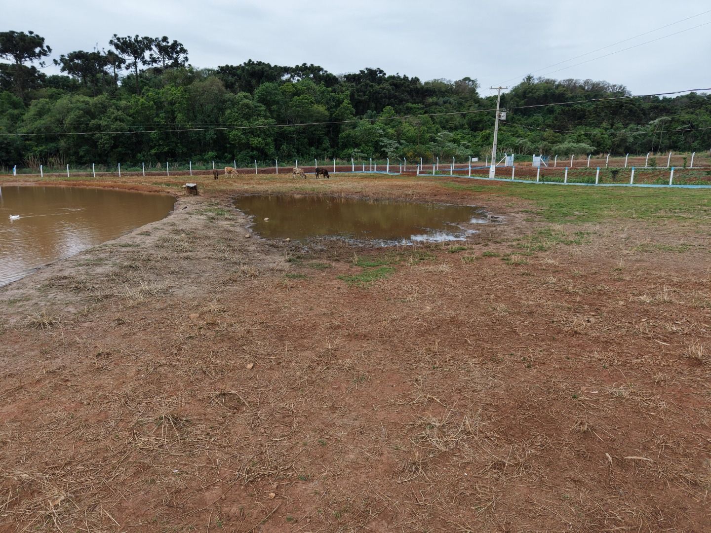Fazenda/Sítios/Chácaras Canadá