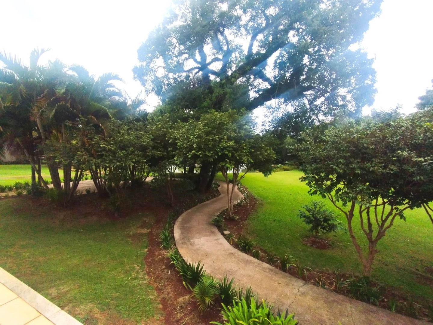Terreno Alto Alegre