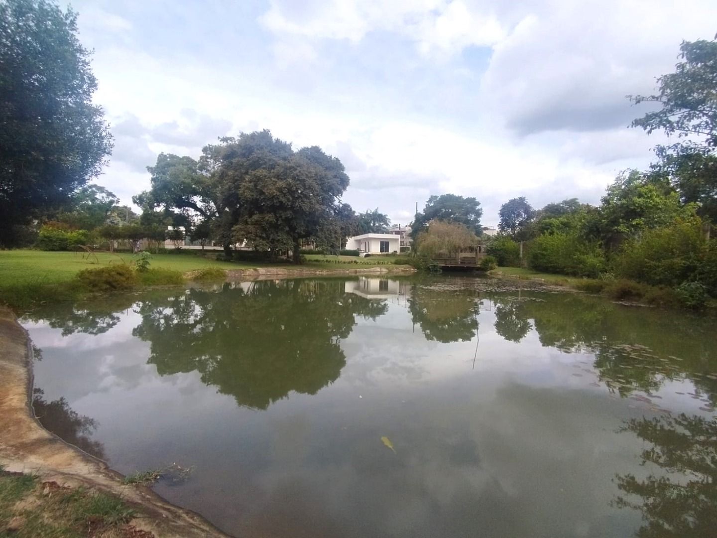 Terreno Alto Alegre