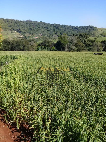 Fazenda/Sítios/Chácaras Á Venda Fazenda Do Limoeiro  Ibiporã Imagens do imóveis Fazenda/Sítios/Chácaras Á Venda Fazenda Do Limoeiro  Ibiporã