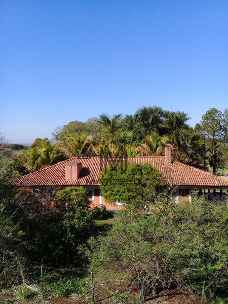 Fazenda/Sítios/Chácaras Á Venda Fazenda Do Limoeiro  Ibiporã Imagens do imóveis Fazenda/Sítios/Chácaras Á Venda Fazenda Do Limoeiro  Ibiporã