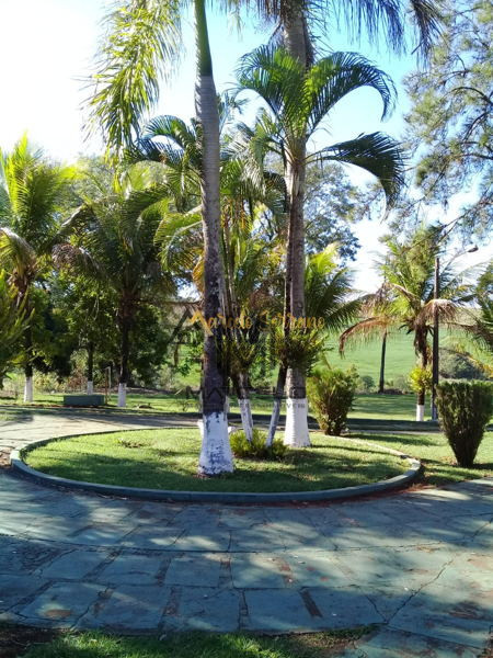 Fazenda/Sítios/Chácaras Á Venda Fazenda Do Limoeiro  Ibiporã Imagens do imóveis Fazenda/Sítios/Chácaras Á Venda Fazenda Do Limoeiro  Ibiporã