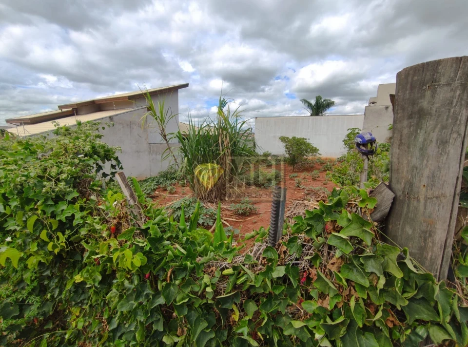 Imagens do imóveis Terreno À Venda Jd Maria Helena Nova Odessa