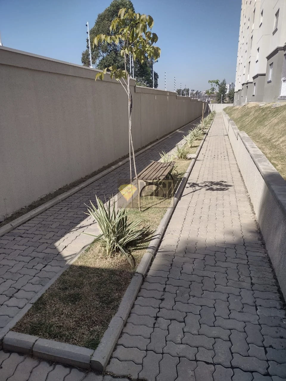 Imagens do imóveis Square Residence