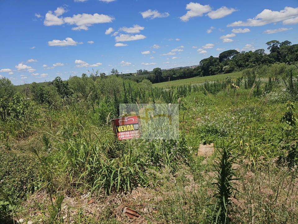 Imagens do imóveis TERRENO - EUCALIPTOS