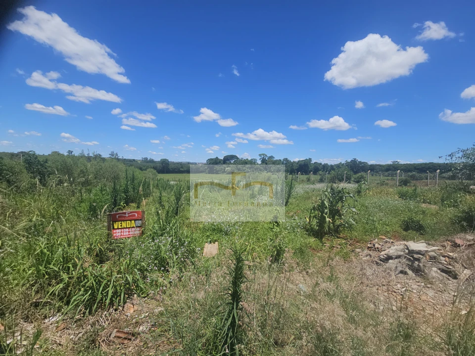 Imagens do imóveis TERRENO - EUCALIPTOS