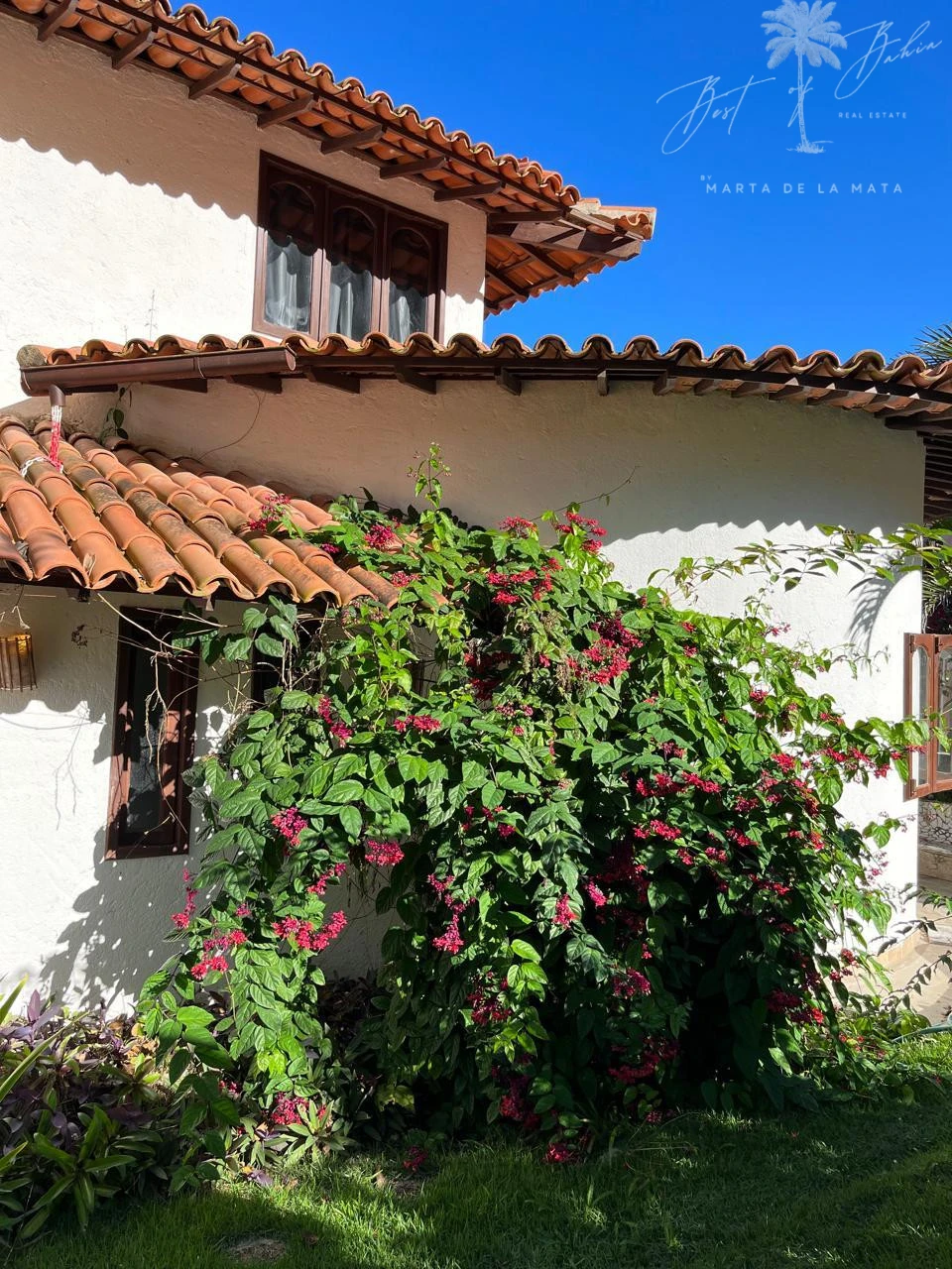 Imagens do imóveis ALUGA-SE VILLA HIBISCUS OCEAN – 5 SUÍTES, VISTA MAR E ACESSO DIRETO À PRAIA