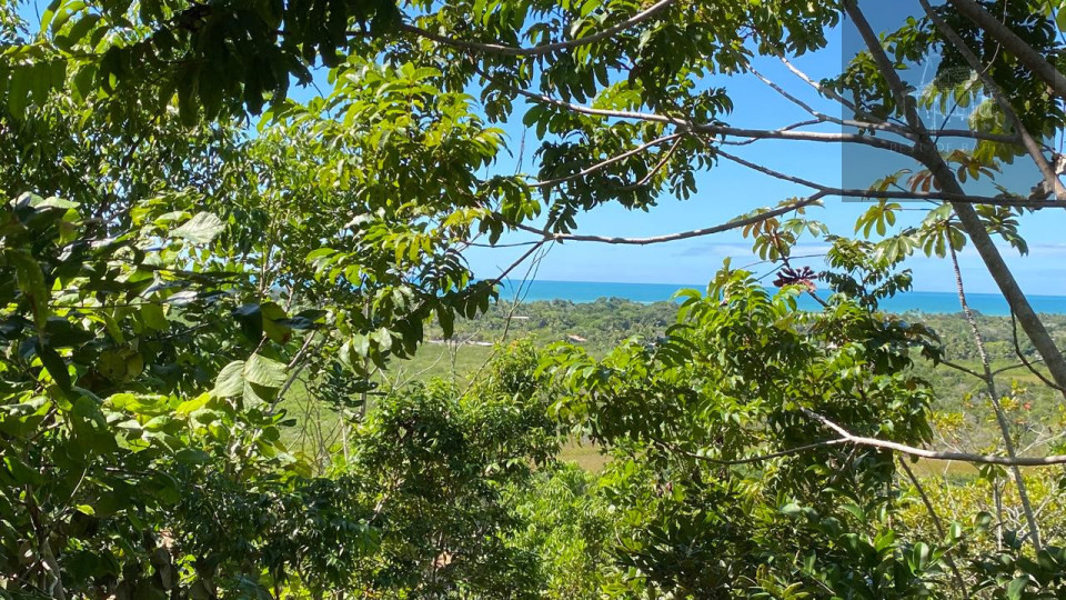 Imagens do imóveis TERRENO COM VISTA DESLUMBRANTE PARA A MATA ATLANTICA E O MAR
