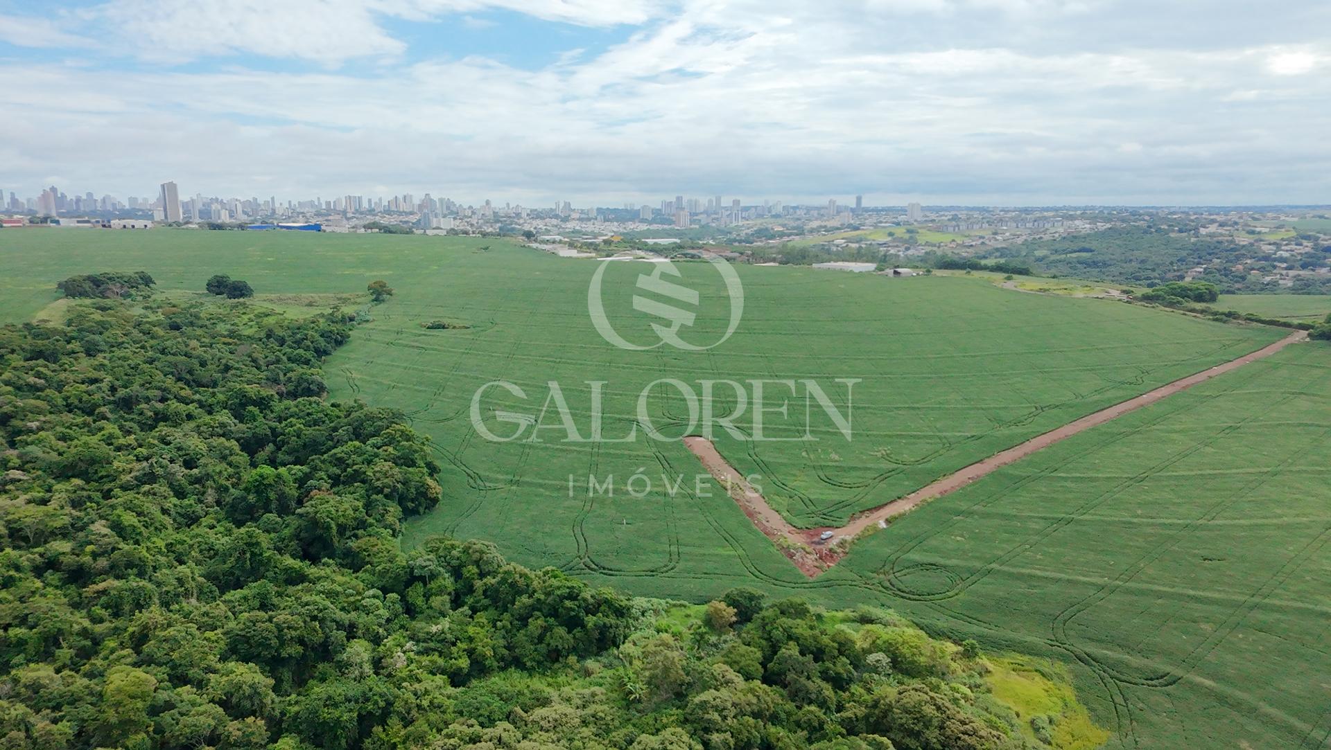 Área de 20.000m² para Loteamento em Maringá  Gleba Ribeirão Pinguim