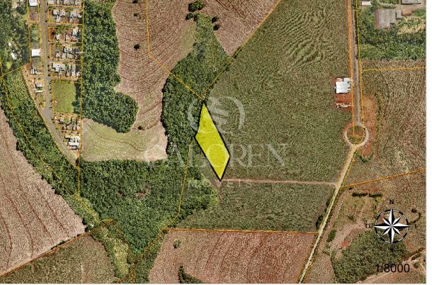 Área de 20.000m² para Loteamento em Maringá  Gleba Ribeirão Pinguim