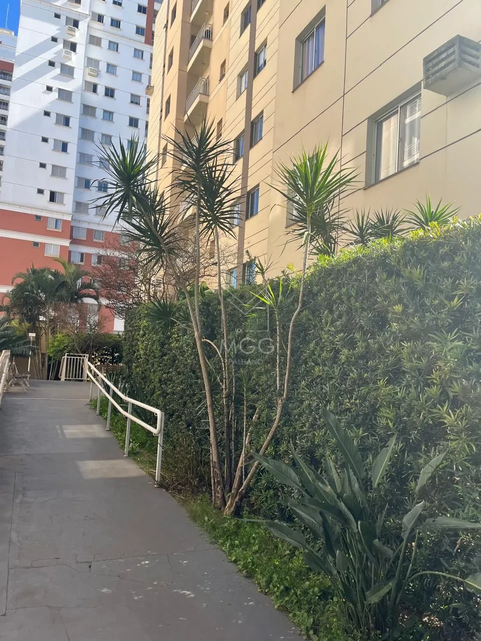 APARTAMENTO PARA LOCAÇÃO LIV CATUAÍ
