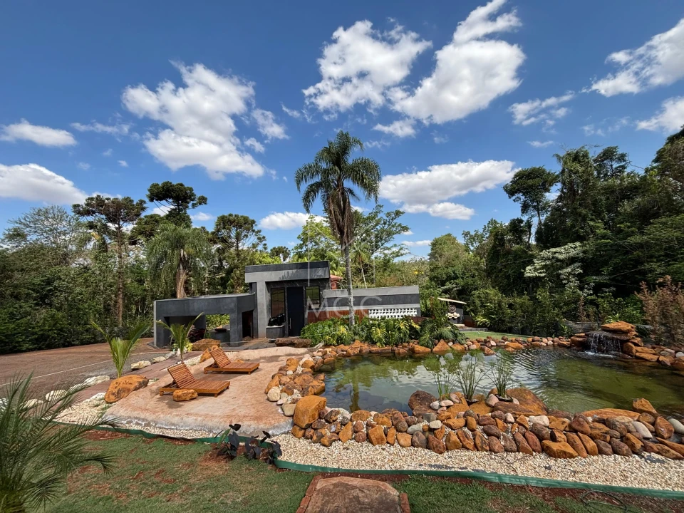 Haras próximo a pista em rolândia