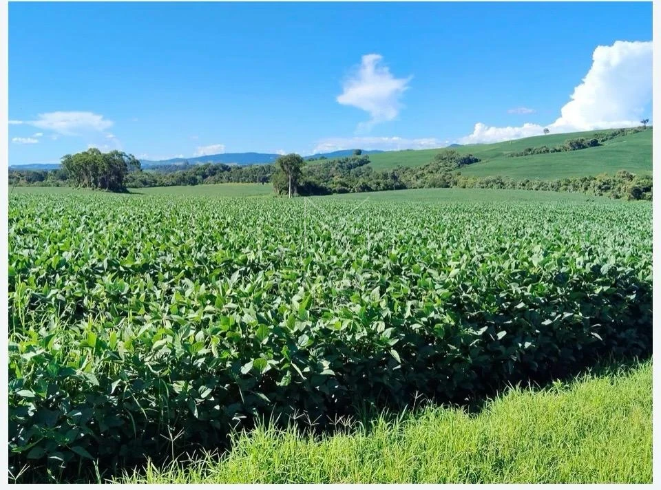 fazenda em Candido de Abreu -PR beira de pista